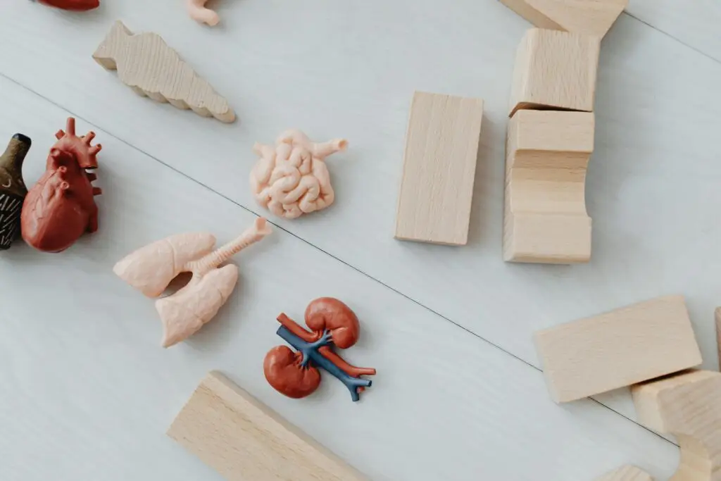 Prosate Cancer Check Manchester